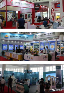 火爆 水博會(huì)盛大開啟,連市長(zhǎng)都來了