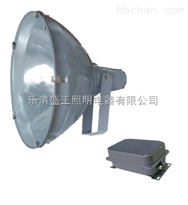 HTC1800A高效中功率投光燈 樂(lè)清盛王照明電器打造專業(yè)戶外照明解決方案